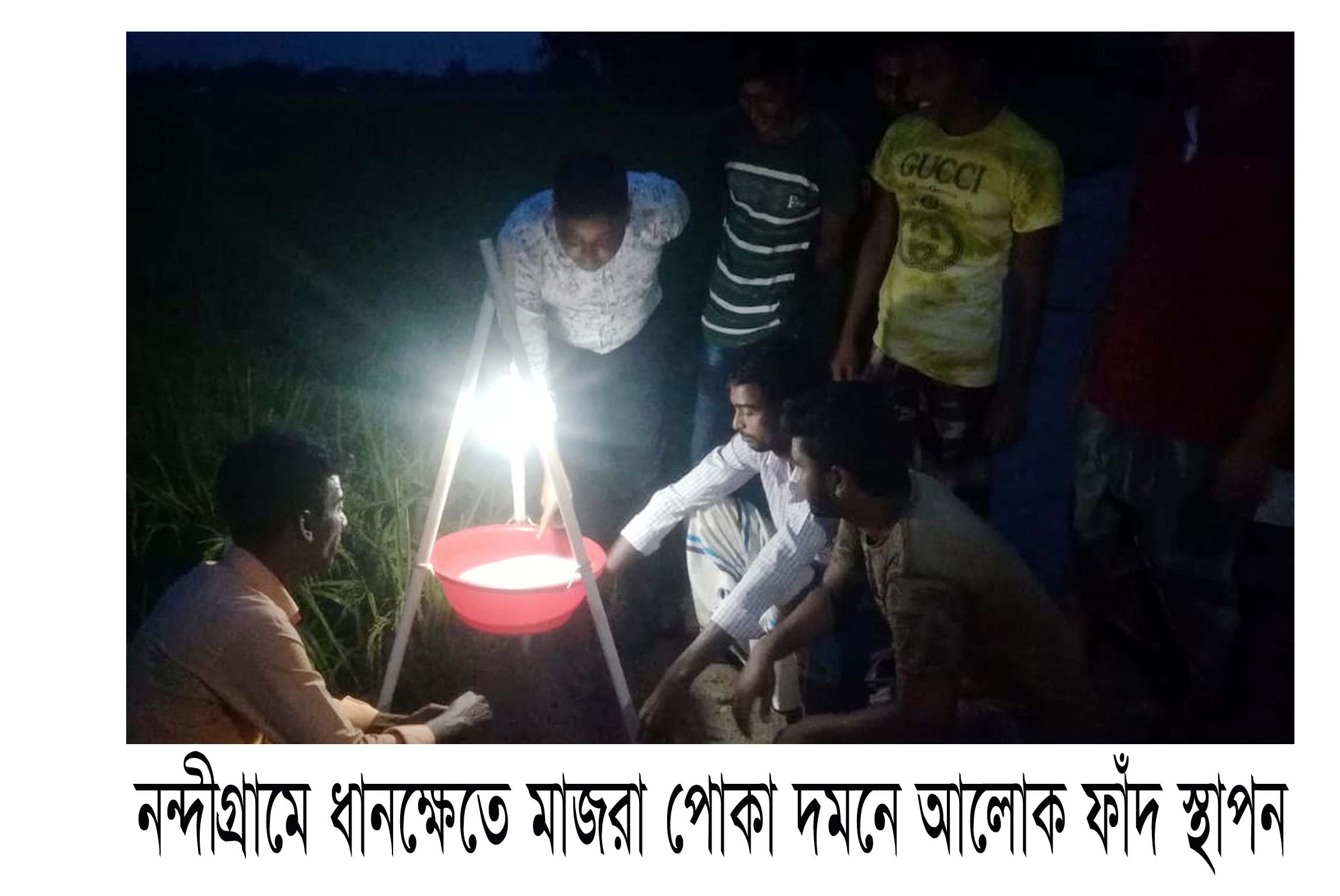 নন্দীগ্রামে ধানক্ষেতে মাজরা পোকা দমনে আলোক ফাঁদ