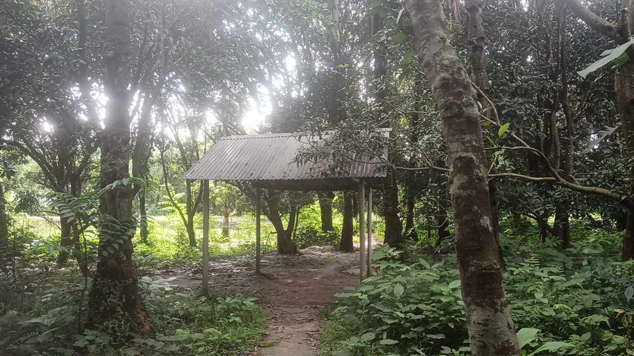 বাঘার রুস্তমপুরে গড়ে উঠেছে মাদকের অভয়াশ্রম, অতিষ্ঠ এলাকাবাসী