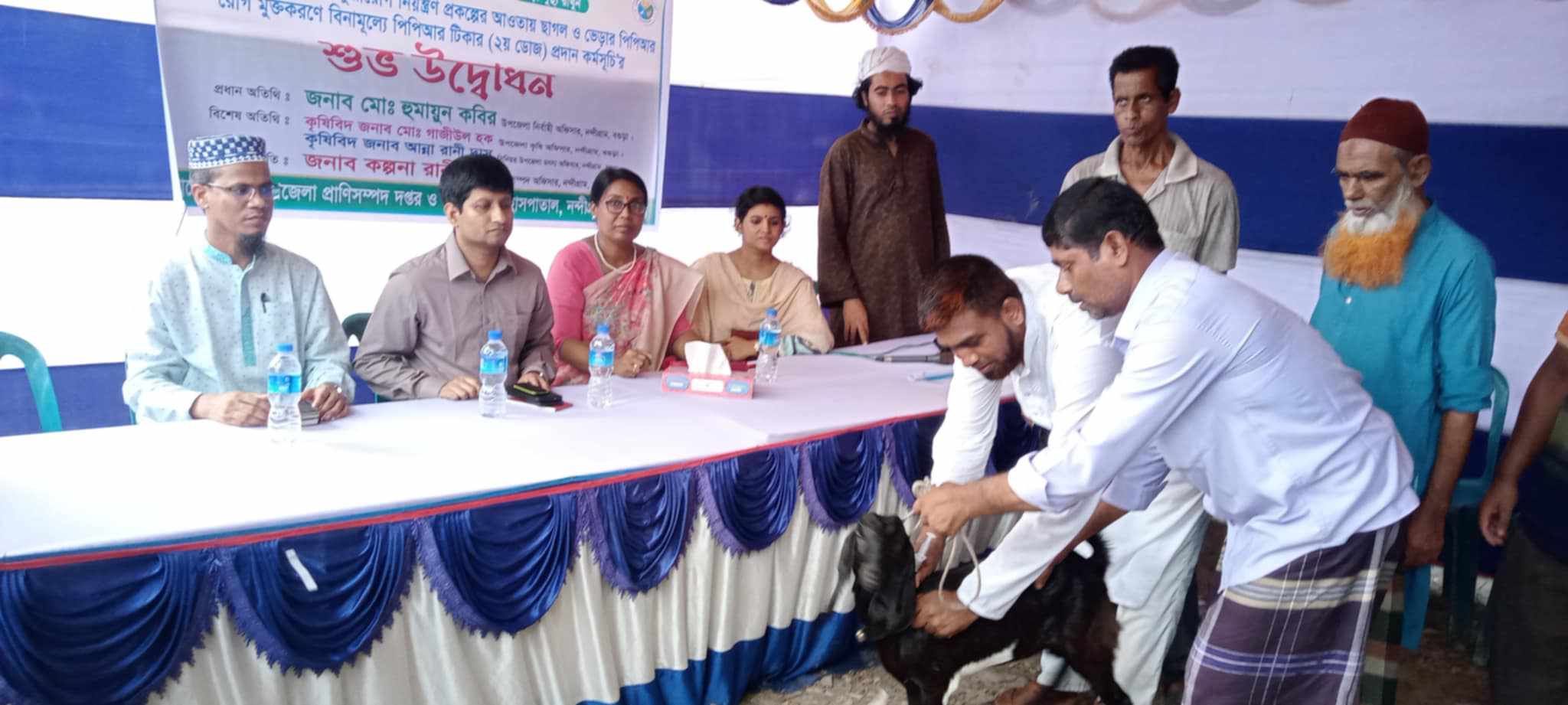 নন্দীগ্রামে ছাগল ও ভেড়ার বিনামূল্যে পিপিআর টীকার ২য় ডোজ উদ্বোধন