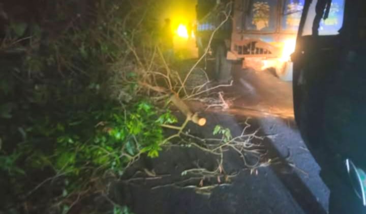 নন্দীগ্রামে সড়কে গাছ ফেলে ব্যারিকেড দিয়ে ডাকাতি